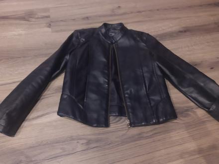 Kožák, terranova,122