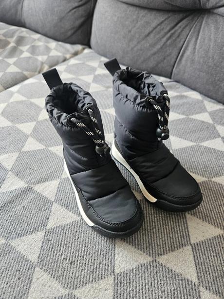 Snehule sorel, sorel,28