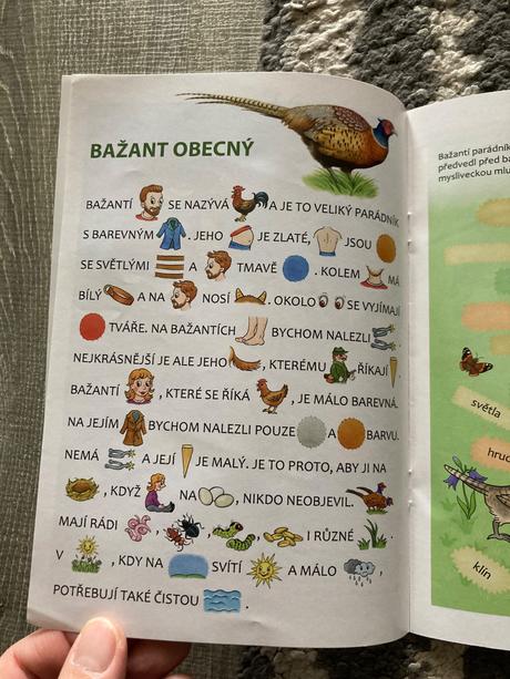 Brožované knižky, 