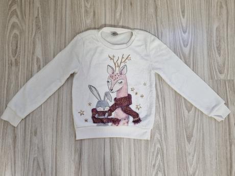 Hruba mikinka, pepco,128