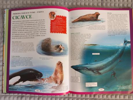 Encyklopedia pre deti, 