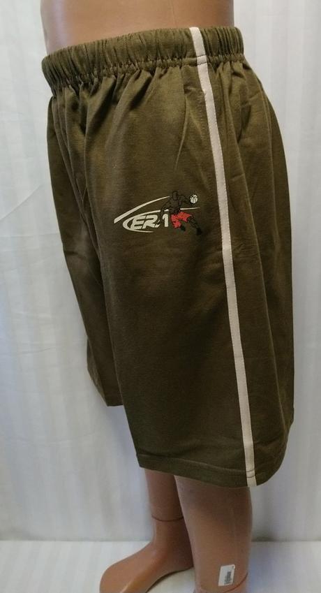 Chlapč. hnedé šortky šport, era fashion, 158, 158