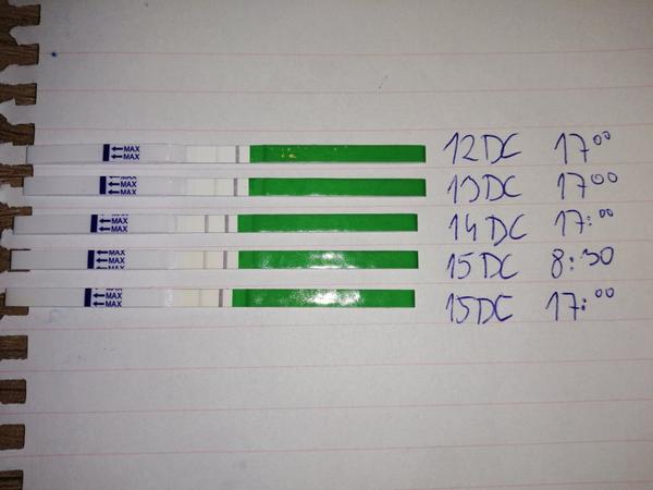 Slabšia čiarka na ovulačnom teste