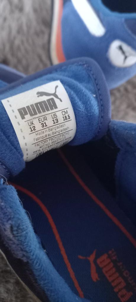 Botasky, puma,31