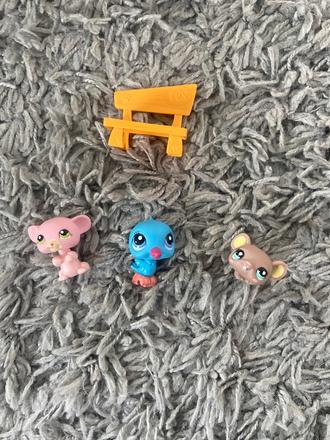 Pet shop zvieratka a doplnky, 