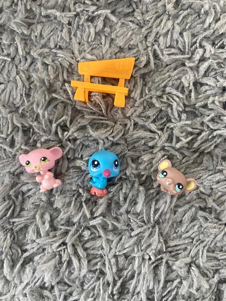 Pet shop zvieratka a doplnky, 