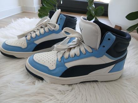 Puma, puma,37