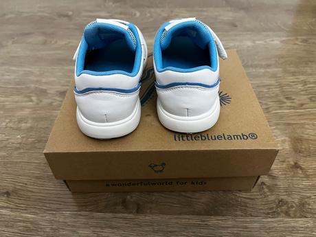 Tenisky little blue lamb, little blue lamb,30