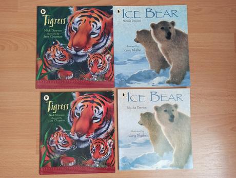 Ice bear /  tigress zositkove odborne, 