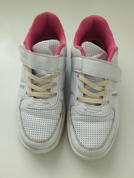 Botasky 33, authority,33