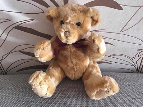 Krasny sediaci macko,