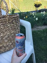 Zlatý Bažant Radler 0,0 % Svieži a Extra Svieži