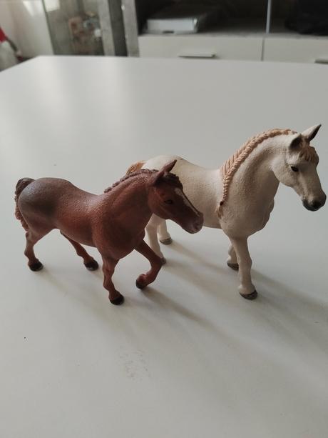 Schleich c.,9, 