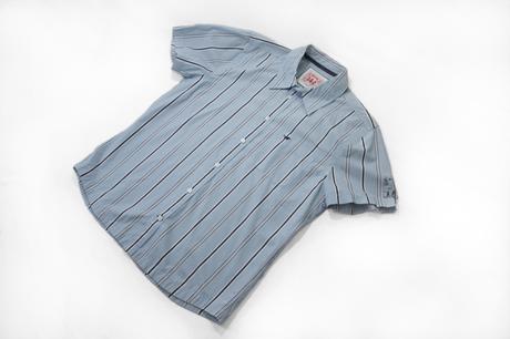 Panska kosela mustang, l