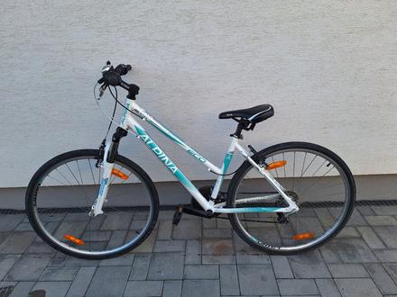 Damsky bicykel alpina, alpina,18