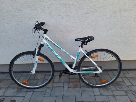 Damsky bicykel alpina, alpina,18