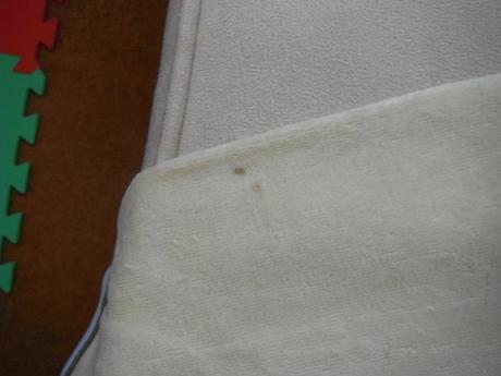 Bodycko, coccodrillo,74