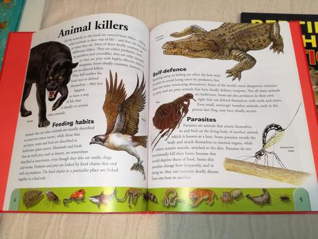 Deadly creatures reptiles & amphibians dict sp20,