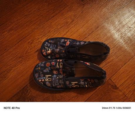 Chlapčenské prezuvky, rak,31