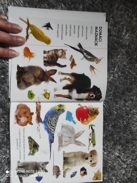 Hľadaj medzi obrázkami zvieratá fotokniha, 