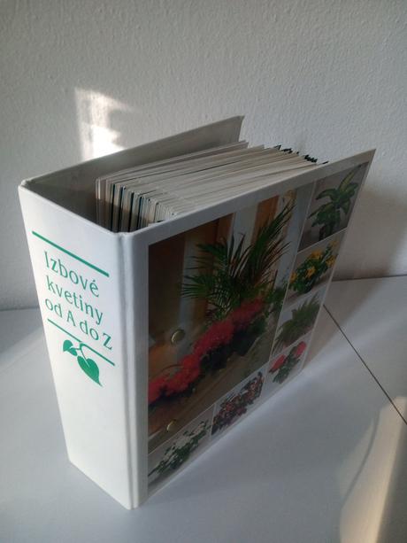 Izbové kvetiny od apo z, 