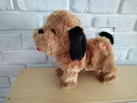 Psik šteká, trošku sa hýbe, 