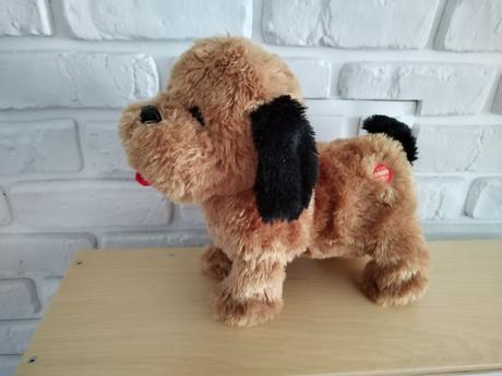 Psik šteká, trošku sa hýbe,