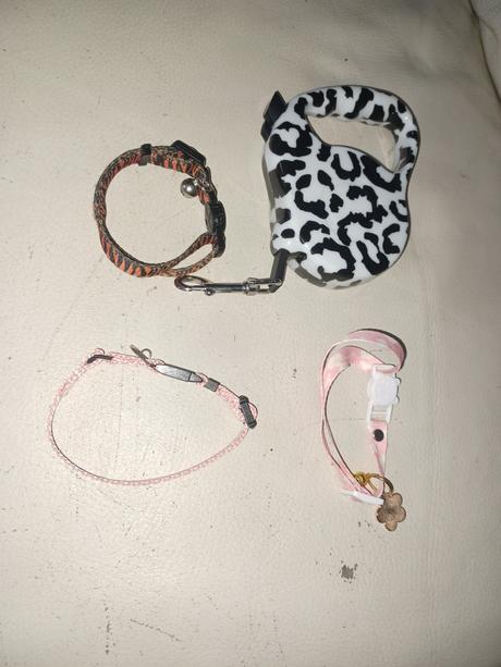 Obojok+ voditko pre macicku,