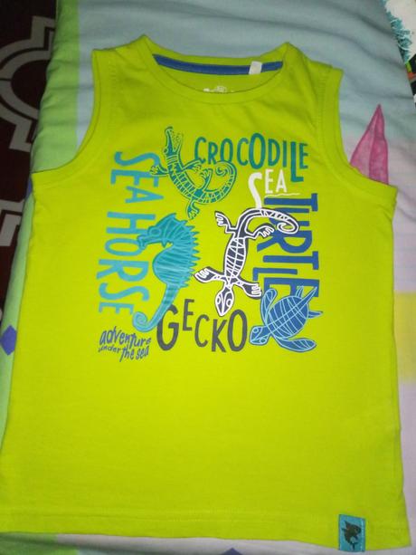 Tielko, palomino,116