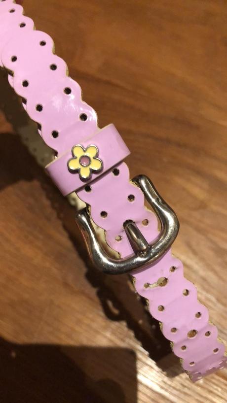 Ruzovy dievcensky opasok,