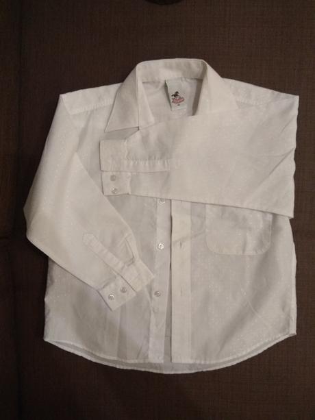 122 snehobiela kosela, palomino,122