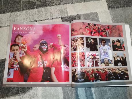 Príbeh slovenského pohára, 