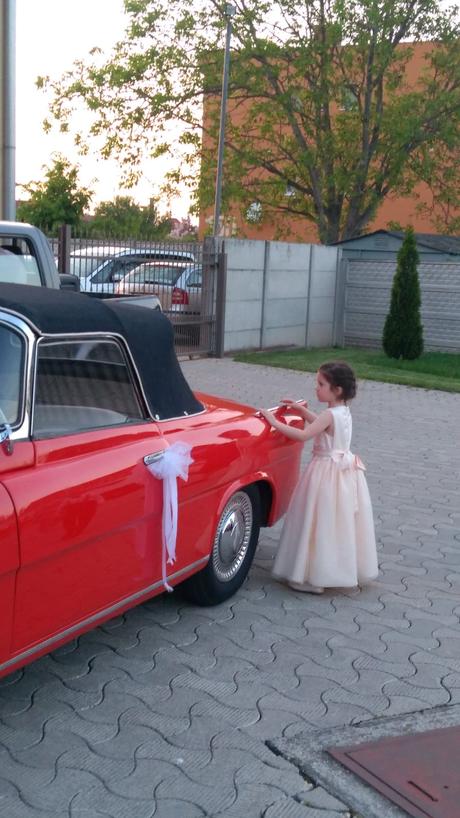 Slavnostne saty, grace,122