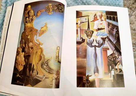 Salvador dalí kniha, 