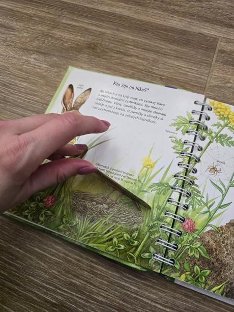 Knižka o zvieratkách, 