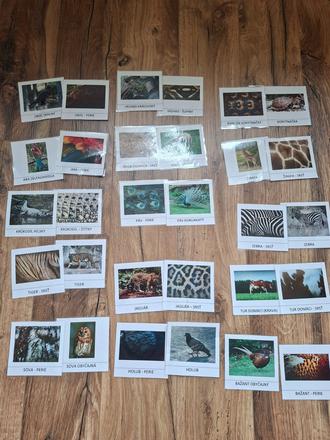 Kartičky - zvierata a ich srst/perie/pancier/supin, 