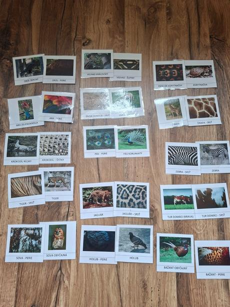 Kartičky - zvierata a ich srst/perie/pancier/supin, 