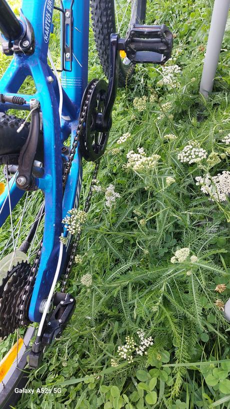 Detský bicykel scott voltage junior "20, scott,20