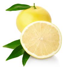 Citricidal silný koncentrát, gélové kvapky, nutrib,