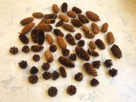 Naturálne ozdoby/šišky 60 ks, 