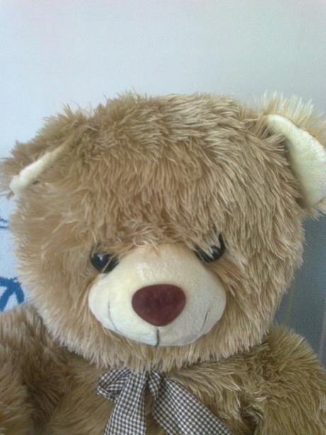 Plyšový medvedík,