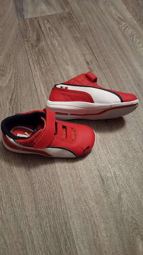 Botasky, puma,25