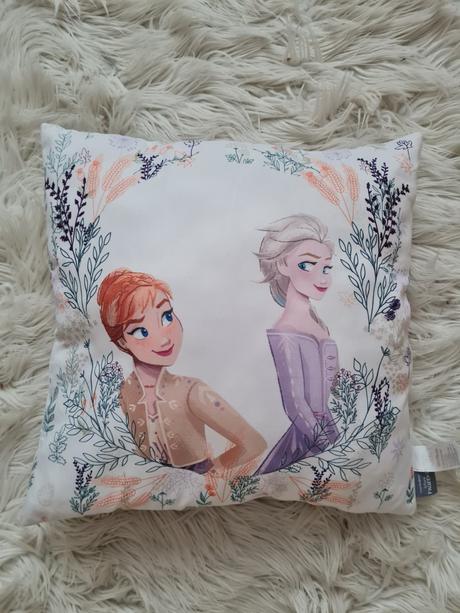 Vankúš frozen 38x38,