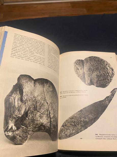 Encyklopédiaveľký obrazový atlas pravekého človeka, 