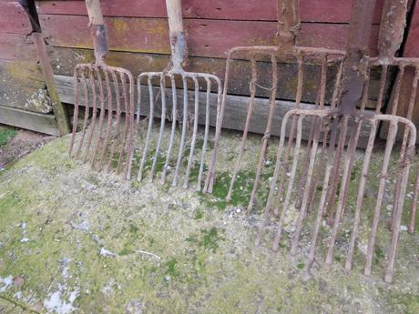 Staré náradie vidly s drevenou rukoveťou,,