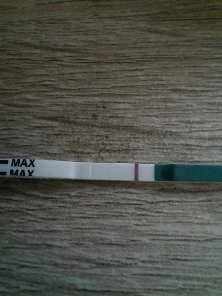 Menzes mi mešká jeden deň. Je tam čiarka?