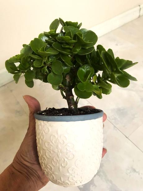 Zaujímavý starožitný črepník,