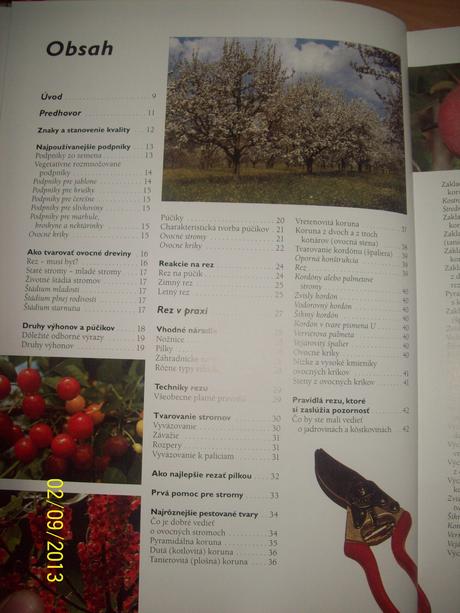 Rez ovocných stromov,