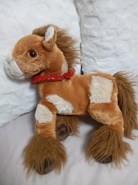 Koník plyšák, 