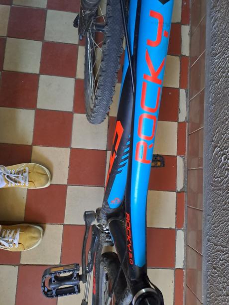 Bicykel, ctm,24